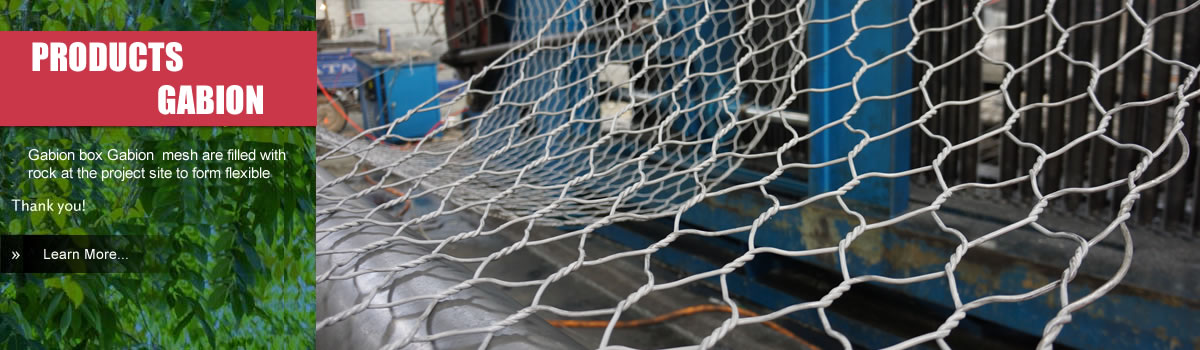 Hexagonal Wire Mesh for Chicken Wire or Gabion Mesh